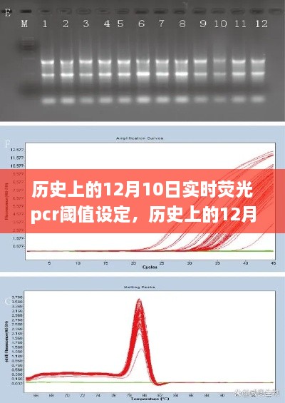 歷史上的12月10日，實(shí)時(shí)熒光PCR閾值設(shè)定的探索之旅