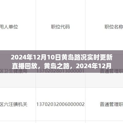 2024年12月10日黃島路況實(shí)錄與深度解讀，實(shí)時(shí)更新直播回放