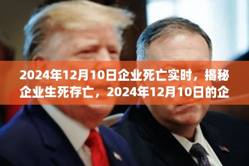 揭秘企業(yè)生死存亡，企業(yè)死亡實(shí)時(shí)真相揭秘（2024年12月10日）