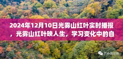 光霧山紅葉映人生，自信與成就之旅的實(shí)時(shí)播報(bào)（2024年12月）