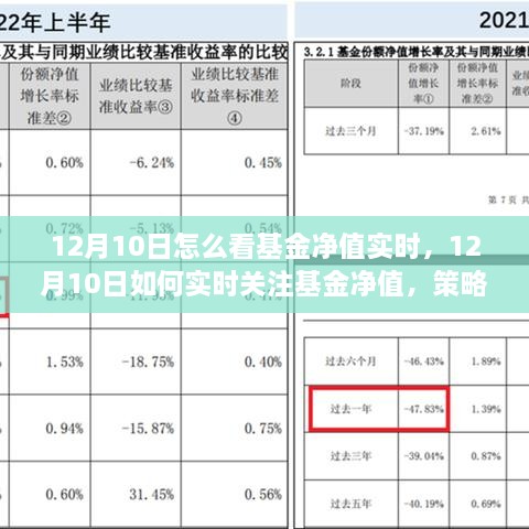 12月10日基金凈值實時關(guān)注策略與技巧，如何掌握基金動態(tài)