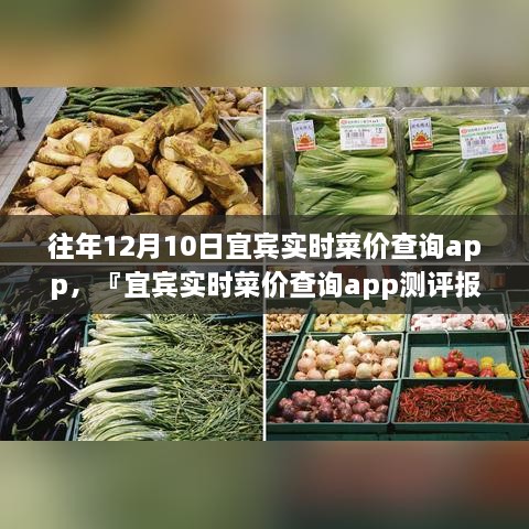 宜賓實(shí)時(shí)菜價(jià)查詢(xún)app歷年功能深度解析與用戶體驗(yàn)洞察測(cè)評(píng)報(bào)告，宜賓歷年菜價(jià)變遷一覽無(wú)余！