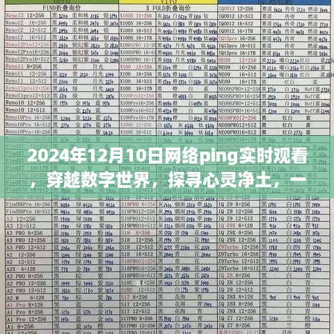 穿越數(shù)字世界的實時旅行，探尋心靈凈土的網(wǎng)絡Ping之旅