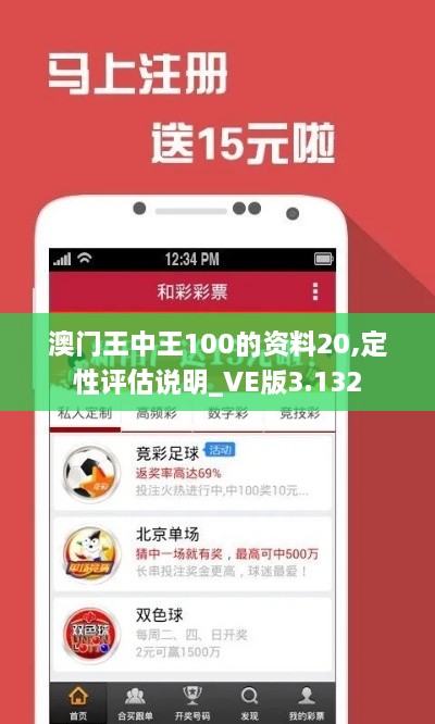 澳門王中王100的資料20,定性評(píng)估說明_VE版3.132