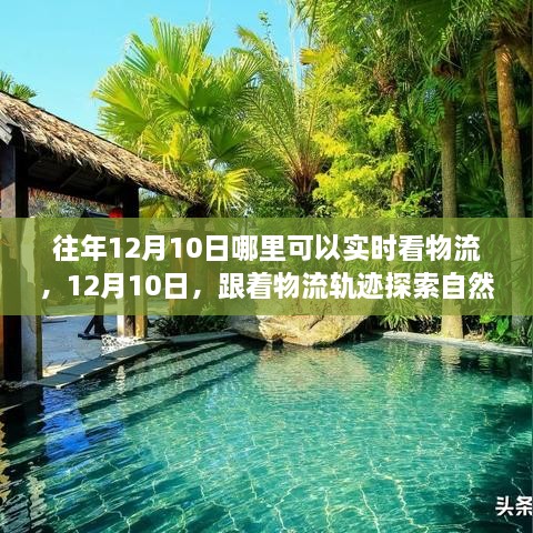 12月10日物流追蹤之旅，自然懷抱的心靈探索之旅