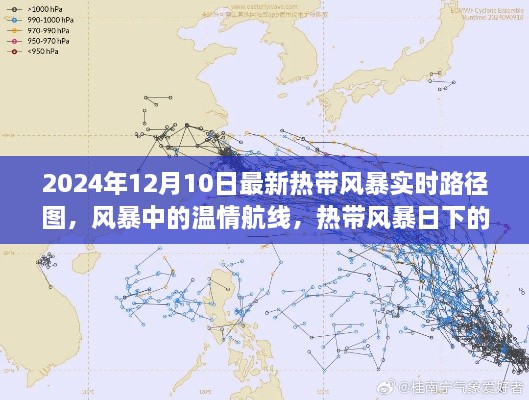 2024年熱帶風(fēng)暴實(shí)時(shí)路徑圖，風(fēng)暴中的溫情旅程與特殊旅程揭秘