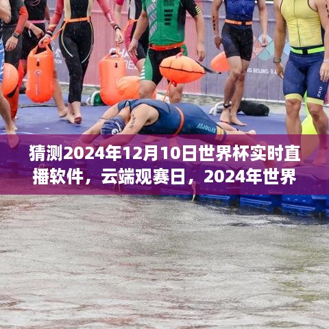 云端觀賽日，世界杯與直播軟件的奇妙之旅 2024年世界杯預測直播體驗