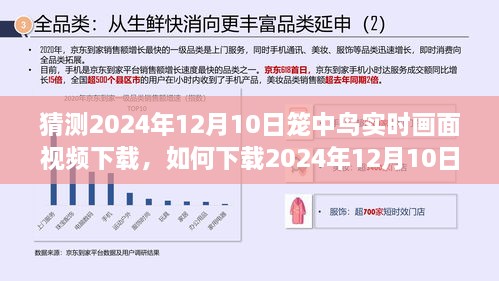 詳細(xì)步驟指南，如何下載2024年籠中鳥實(shí)時畫面視頻下載指南及步驟解析