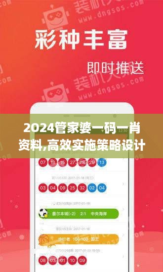 2O24管家婆一碼一肖資料,高效實施策略設計_9DM1.998