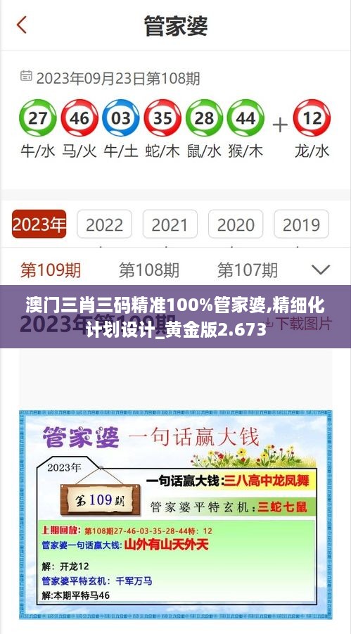 澳門三肖三碼精準(zhǔn)100%管家婆,精細化計劃設(shè)計_黃金版2.673