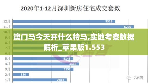 澳門馬今天開什么特馬,實(shí)地考察數(shù)據(jù)解析_蘋果版1.553