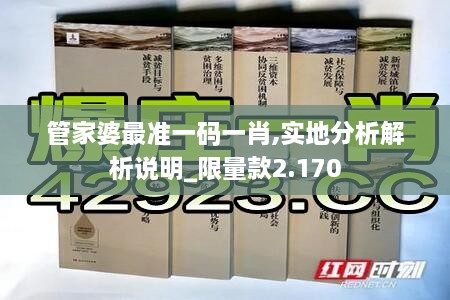 管家婆最準一碼一肖,實地分析解析說明_限量款2.170