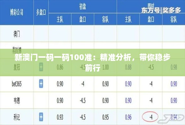 新澳門一碼一碼100準(zhǔn)：精準(zhǔn)分析，帶你穩(wěn)步前行