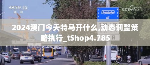 2024澳門今天特馬開什么,動態(tài)調(diào)整策略執(zhí)行_tShop4.785