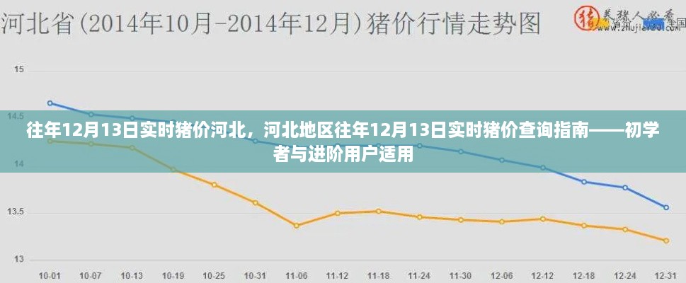 河北地區(qū)歷年12月13日實時豬價查詢指南，初學(xué)者與進階用戶必備參考