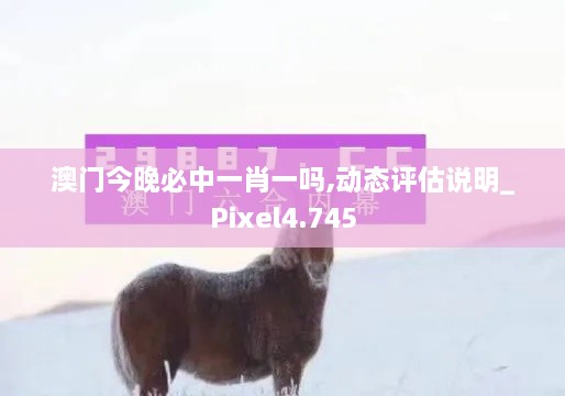 澳門(mén)今晚必中一肖一嗎,動(dòng)態(tài)評(píng)估說(shuō)明_Pixel4.745