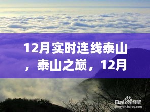 2024年12月14日 第13頁(yè)