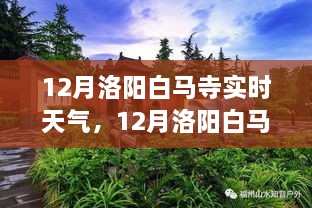 從獨(dú)特視角看12月洛陽白馬寺實時天氣與深度分析