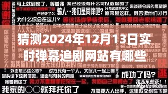 2024年實時彈幕追劇網(wǎng)站展望，背景、發(fā)展與行業(yè)地位深度解析