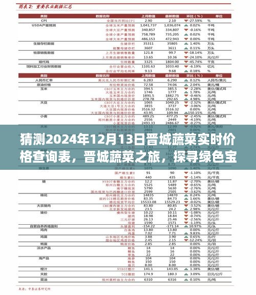 晉城蔬菜價(jià)格預(yù)測(cè)與綠色寶藏探尋之旅，心靈之旅啟程于2024年12月13日