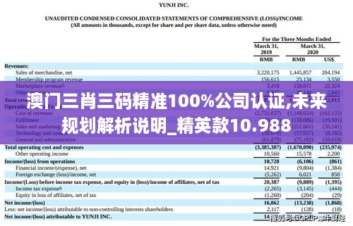 澳門(mén)三肖三碼精準(zhǔn)100%公司認(rèn)證,未來(lái)規(guī)劃解析說(shuō)明_精英款10.988