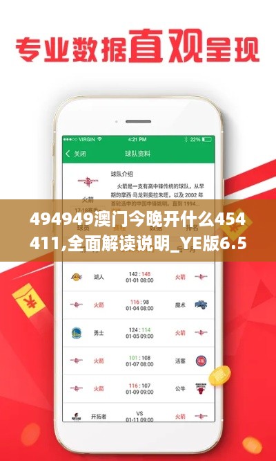 494949澳門今晚開什么454411,全面解讀說明_YE版6.538