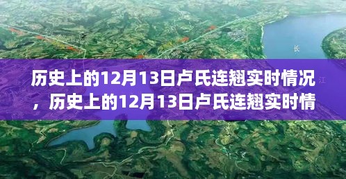 探索歷史上的盧氏連翹實(shí)時(shí)情況，指南與手冊(cè)揭秘盧氏連翹奧秘