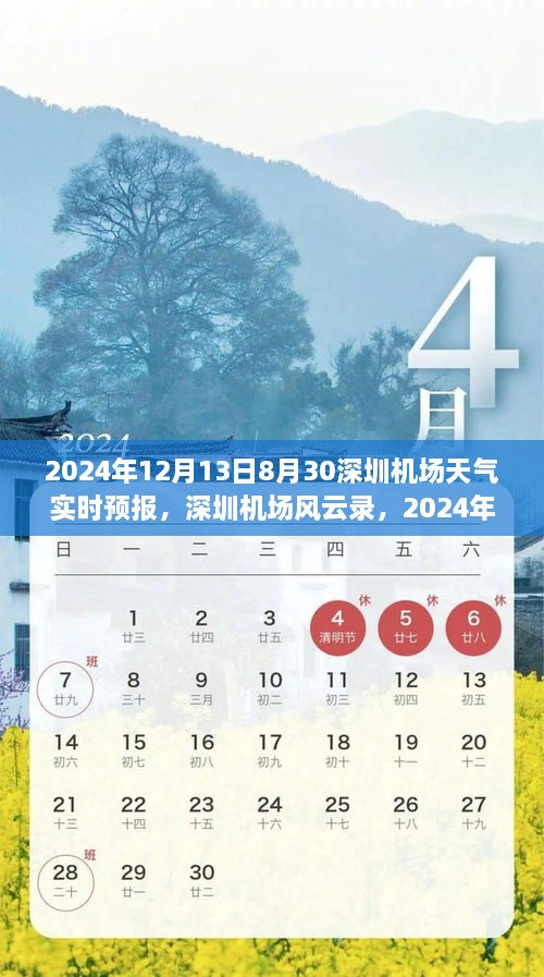 深圳機(jī)場(chǎng)天氣預(yù)報(bào)紀(jì)實(shí)，風(fēng)云變幻下的航班動(dòng)態(tài)與影響