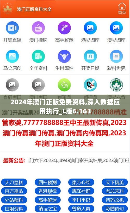 2024年澳門正版免費(fèi)資料,深入數(shù)據(jù)應(yīng)用執(zhí)行_L版6.163