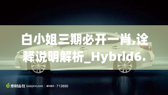 白小姐三期必開一肖,詮釋說明解析_Hybrid6.791