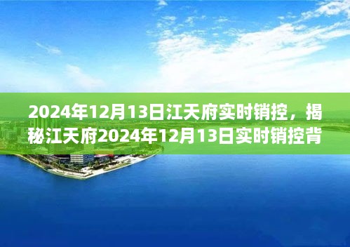 揭秘江天府實時銷控背后的秘密，深度解析2024年12月13日數(shù)據(jù)動態(tài)與趨勢分析