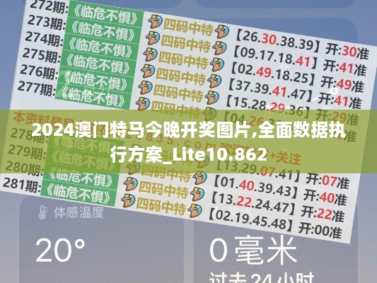 2024澳門特馬今晚開獎圖片,全面數據執(zhí)行方案_Lite10.862