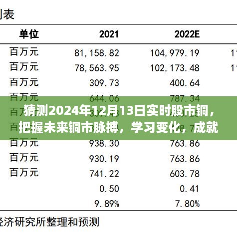 揭秘2024年12月13日股市銅市走向，洞悉變化成就投資夢(mèng)想