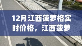 江西菠蘿格市場，實時價格解析與變化中的力量與自信成就之舞