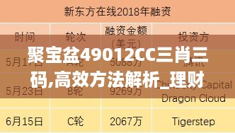 聚寶盆49012CC三肖三碼,高效方法解析_理財(cái)版10.349