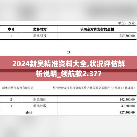 2024新奧精準(zhǔn)資料大全,狀況評估解析說明_領(lǐng)航款2.377