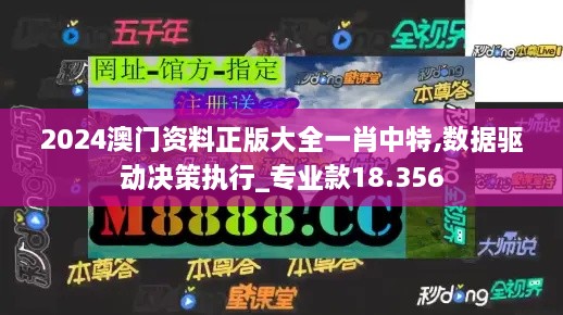 2024澳門資料正版大全一肖中特,數(shù)據(jù)驅動決策執(zhí)行_專業(yè)款18.356