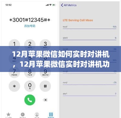 12月蘋果微信實時對講機功能使用指南，步驟詳解與操作技巧