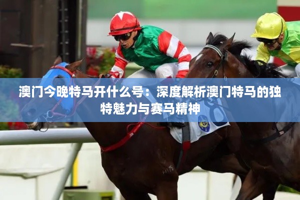 澳門今晚特馬開什么號：深度解析澳門特馬的獨特魅力與賽馬精神