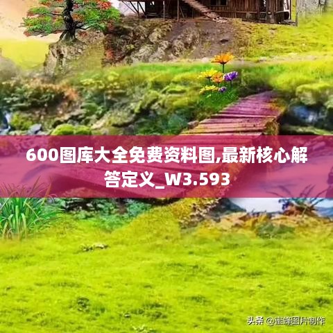 600圖庫(kù)大全免費(fèi)資料圖,最新核心解答定義_W3.593