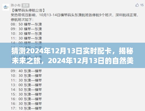 揭秘未來之旅，啟程尋找內(nèi)心的寧靜與平和——2024年12月13日自然美景配卡猜想