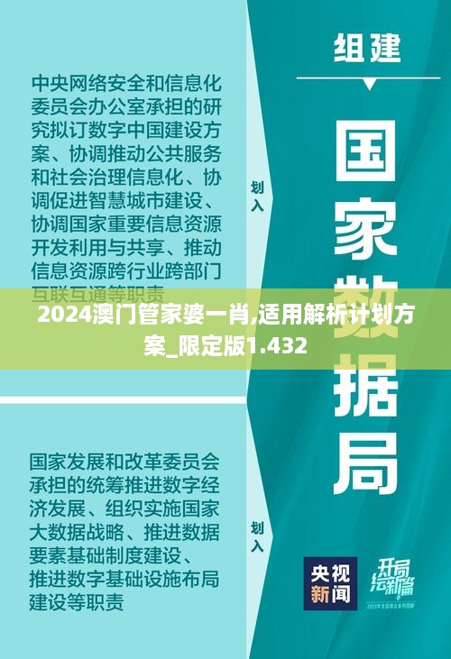 2024澳門管家婆一肖,適用解析計(jì)劃方案_限定版1.432