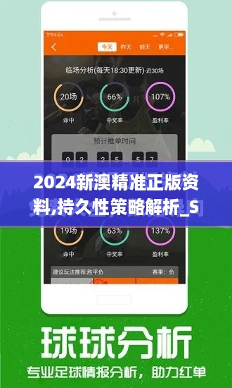 2024新澳精準正版資料,持久性策略解析_SE版4.140