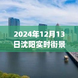 沈陽獨家揭秘，2024年實時街景地圖全解析，領(lǐng)略城市新風(fēng)貌