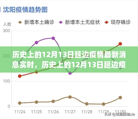 多維度視角下的深度分析，歷史上的延邊疫情最新消息實(shí)時(shí)報(bào)道與解讀（截至12月13日）