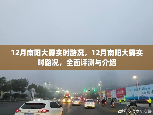 12月南陽大霧實時路況全面解析與介紹