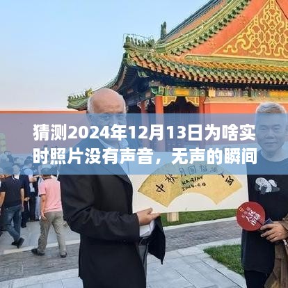 揭秘?zé)o聲瞬間背后的故事，為何2024年實(shí)時(shí)照片無聲開啟學(xué)習(xí)與成長之旅？