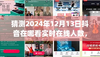 未來(lái)視野之旅，揭秘2024年抖音實(shí)時(shí)在線人數(shù)盛況——家庭日，在線情緣的見(jiàn)證