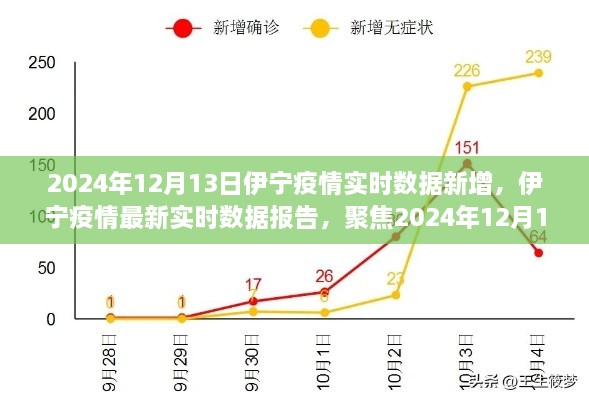 2024年12月13日伊寧疫情實(shí)時數(shù)據(jù)報告，聚焦最新新增情況