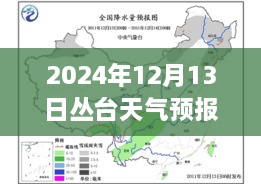 叢臺天氣預報實時洞察，2024年12月13日的天氣分析與影響